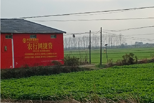 桑植如何防止墙体广告褪色呢？