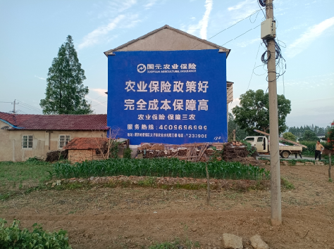 桑植墙体广告的优劣势你知道吗？