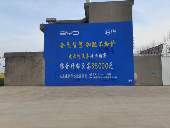 桑植墙固是否有必要刷？